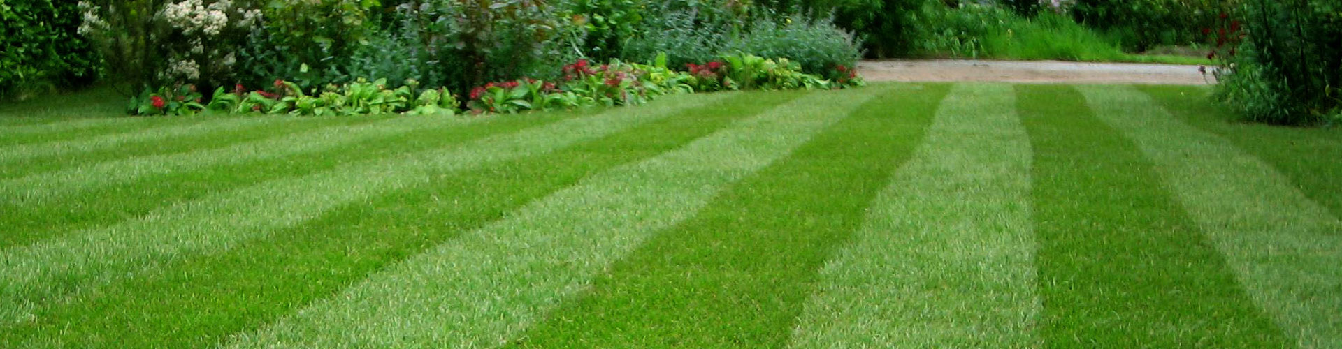 green lawn with stripes